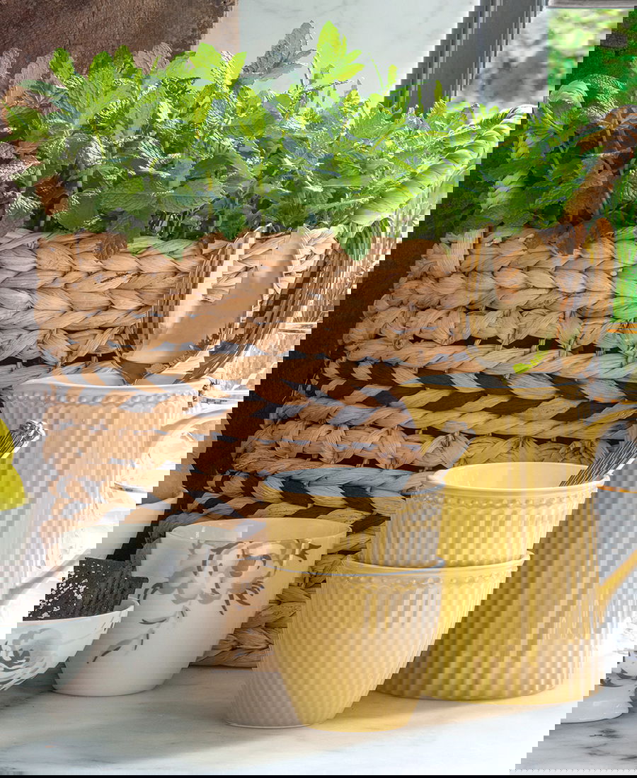 S_WILBASS3P0801_4